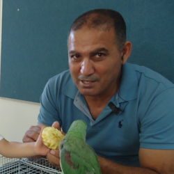 קוצי_פנאדקה